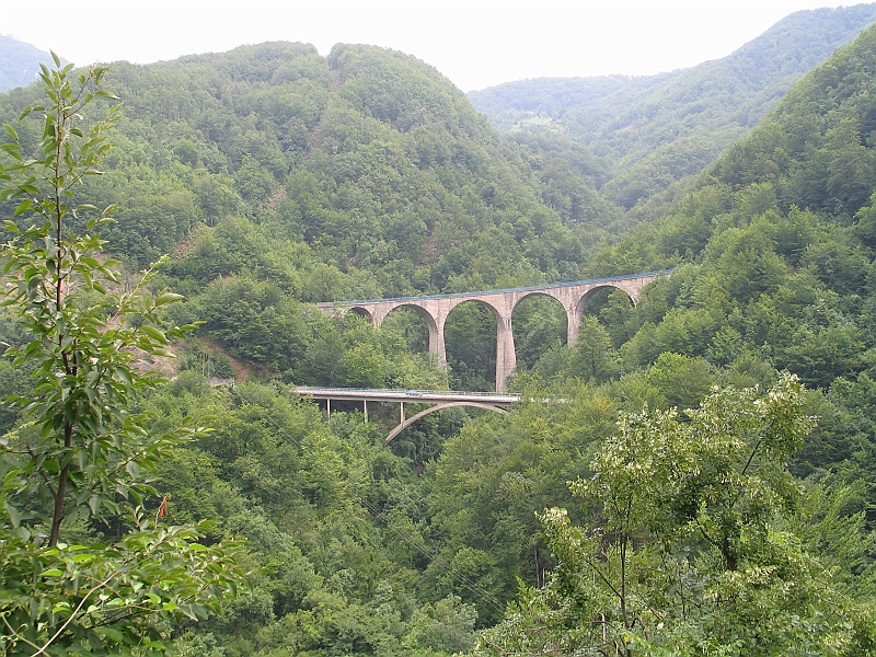 Original image